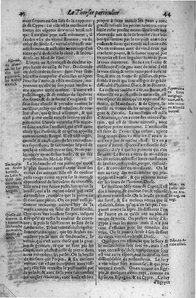 An illustration from Le grand thresor, ou dispensaire et antidotaire tant general que special ou particulier des remedes servans à la santé du corps humain : dressé en latin..., 1616, leaf 183