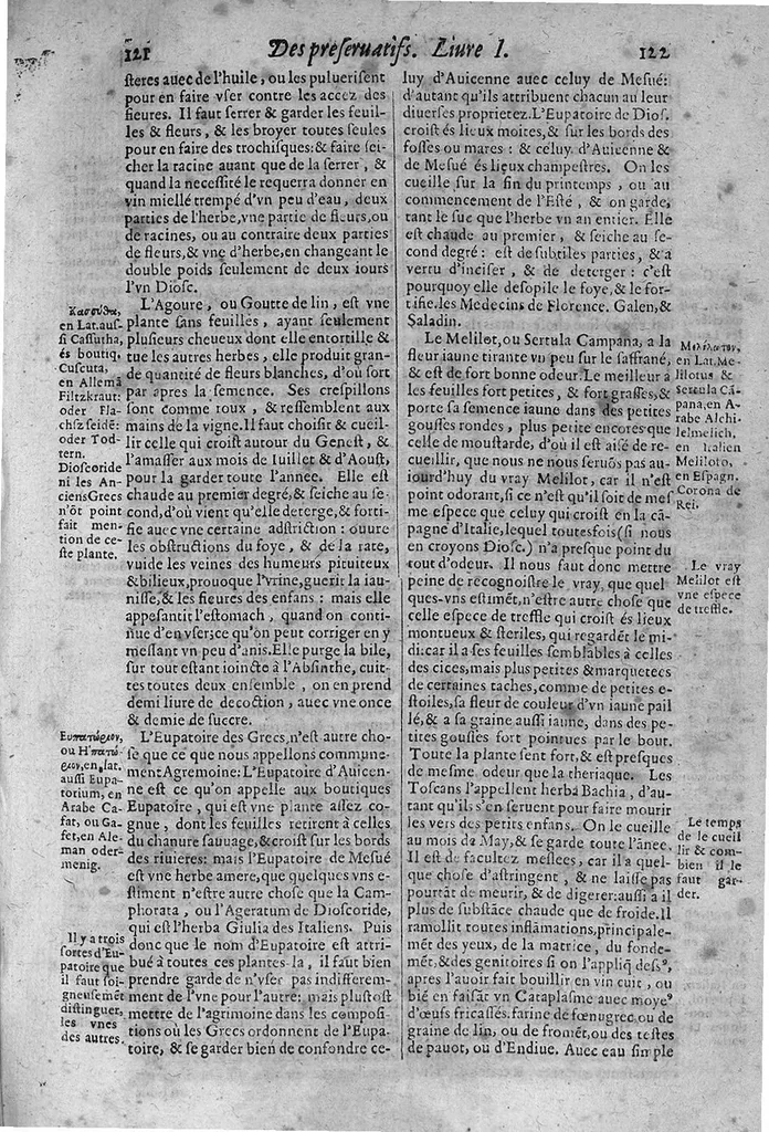 An illustration from Le grand thresor, ou dispensaire et antidotaire tant general que special ou particulier des remedes servans à la santé du corps humain : dressé en latin..., 1616, leaf 222