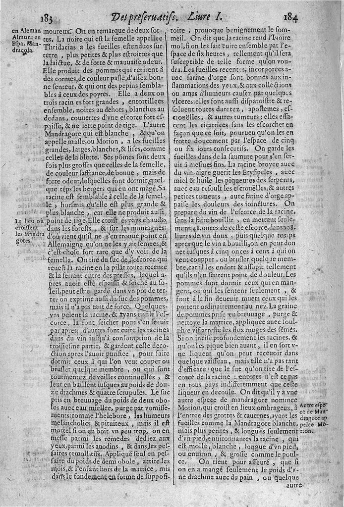 An illustration from Le grand thresor, ou dispensaire et antidotaire tant general que special ou particulier des remedes servans à la santé du corps humain : dressé en latin..., 1616, leaf 253
