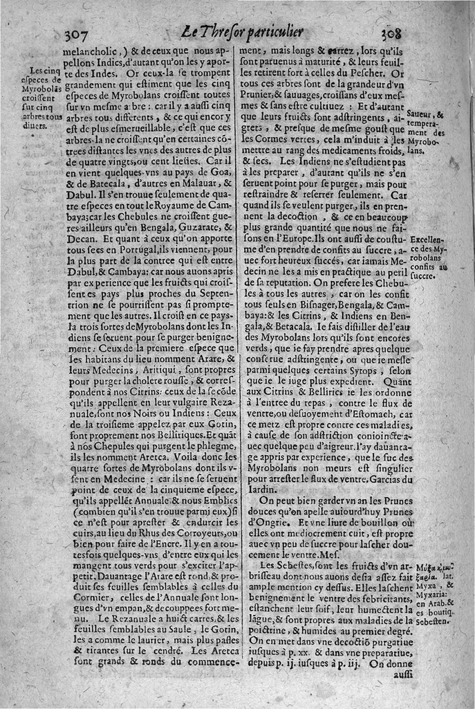 An illustration from Le grand thresor, ou dispensaire et antidotaire tant general que special ou particulier des remedes servans à la santé du corps humain : dressé en latin..., 1616, leaf 315