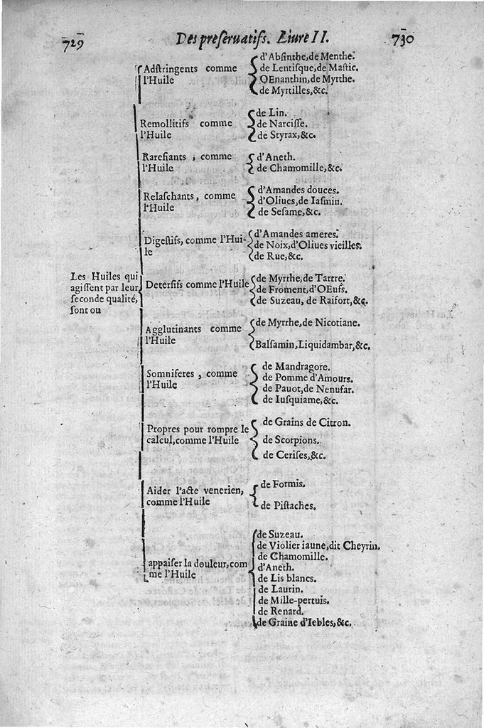 An illustration from Le grand thresor, ou dispensaire et antidotaire tant general que special ou particulier des remedes servans à la santé du corps humain : dressé en latin..., 1616, leaf 526