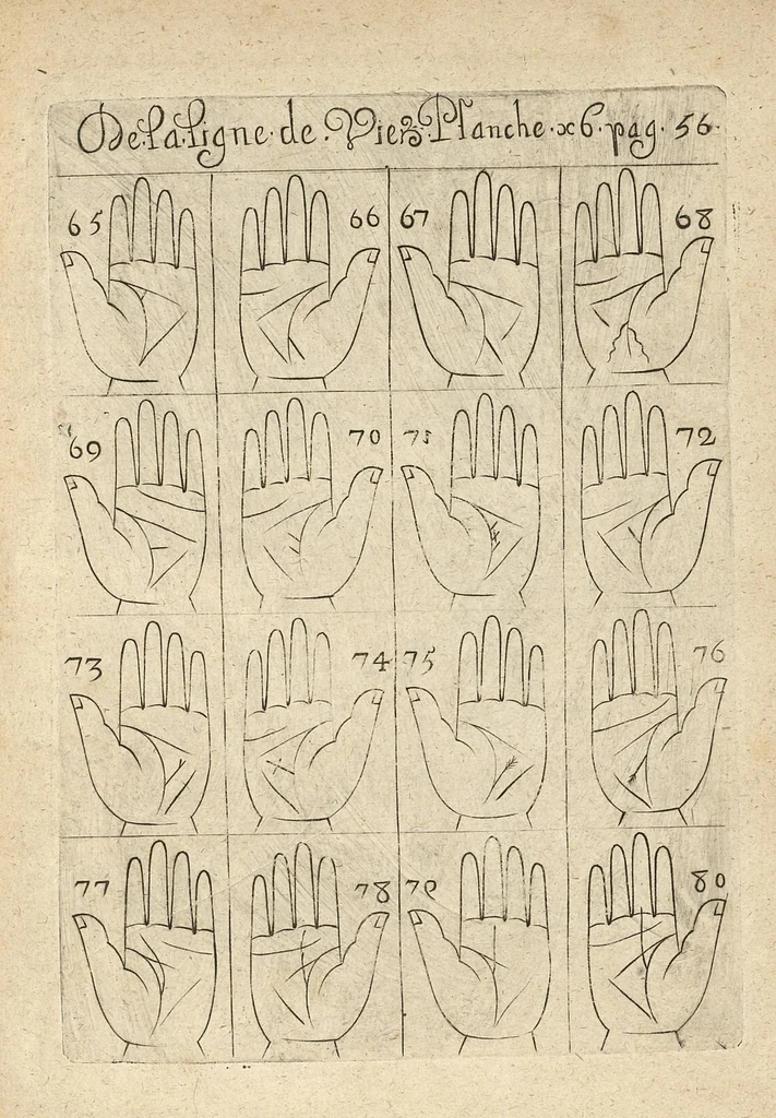 An illustration from La science curieuse ou traité de la chyromance, récueilly des plus graves autheurs qui ont traité de cette matière..., 1665, leaf 100