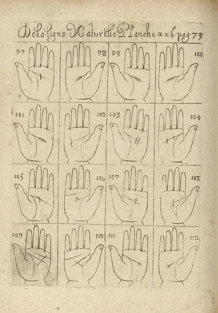 An illustration from La science curieuse ou traité de la chyromance, récueilly des plus graves autheurs qui ont traité de cette matière..., 1665, leaf 133