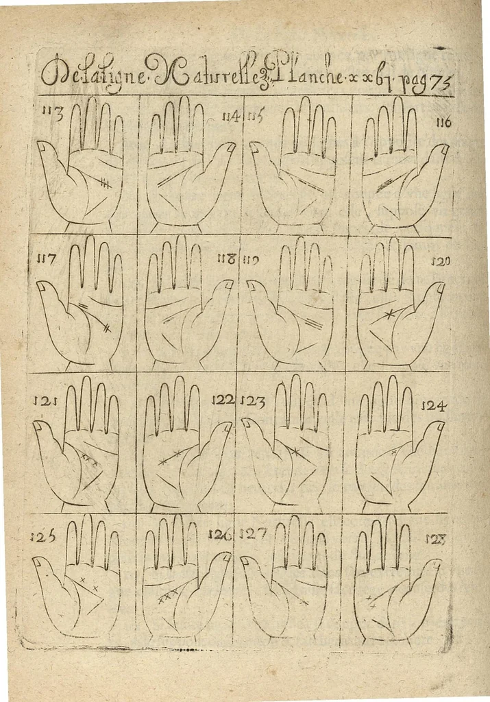 An illustration from La science curieuse ou traité de la chyromance, récueilly des plus graves autheurs qui ont traité de cette matière..., 1665, leaf 137
