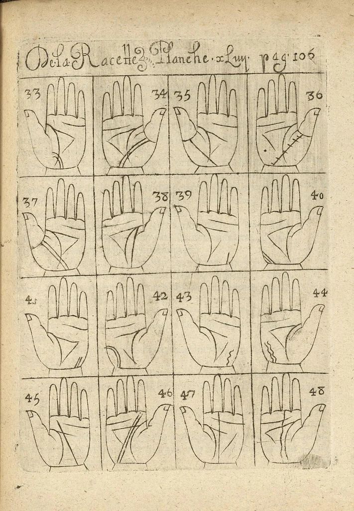 An illustration from La science curieuse ou traité de la chyromance, récueilly des plus graves autheurs qui ont traité de cette matière..., 1665, leaf 204