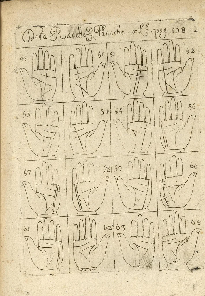 An illustration from La science curieuse ou traité de la chyromance, récueilly des plus graves autheurs qui ont traité de cette matière..., 1665, leaf 208