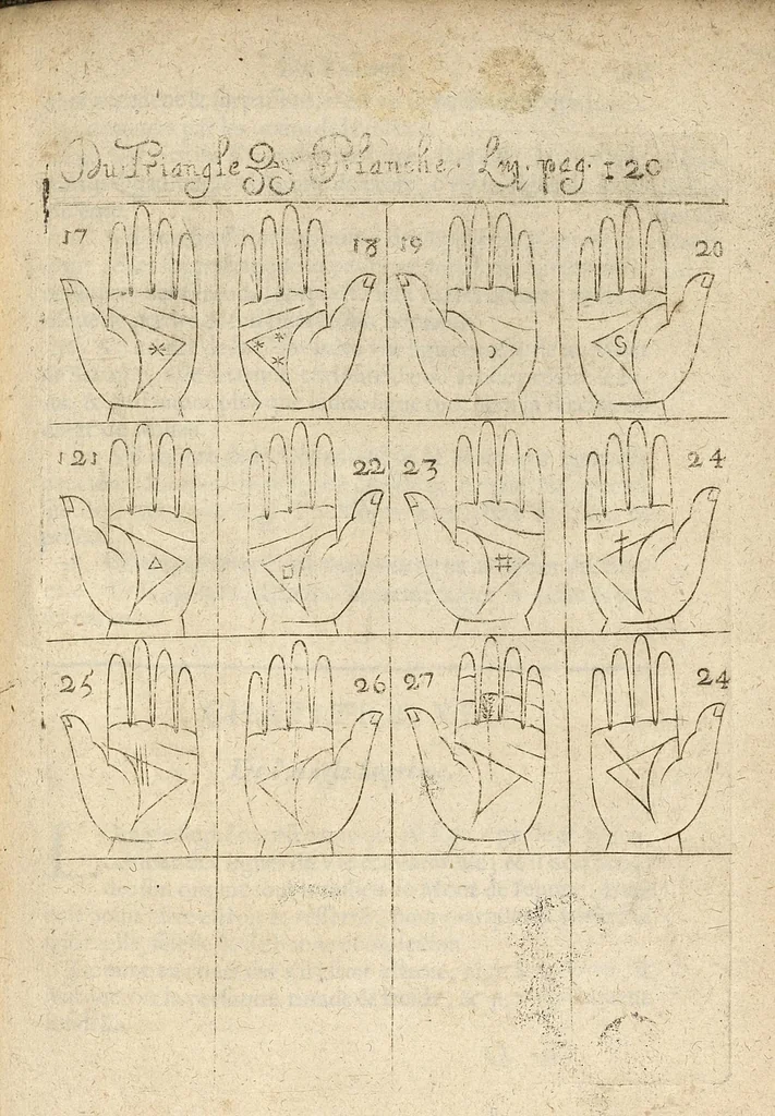 An illustration from La science curieuse ou traité de la chyromance, récueilly des plus graves autheurs qui ont traité de cette matière..., 1665, leaf 236