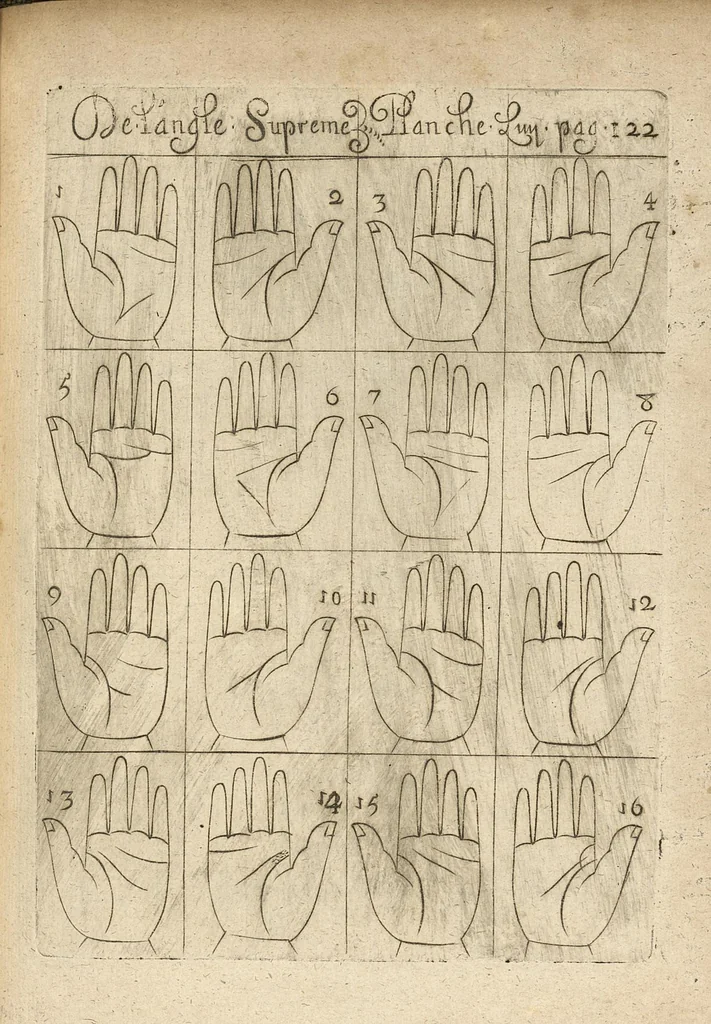 An illustration from La science curieuse ou traité de la chyromance, récueilly des plus graves autheurs qui ont traité de cette matière..., 1665, leaf 240