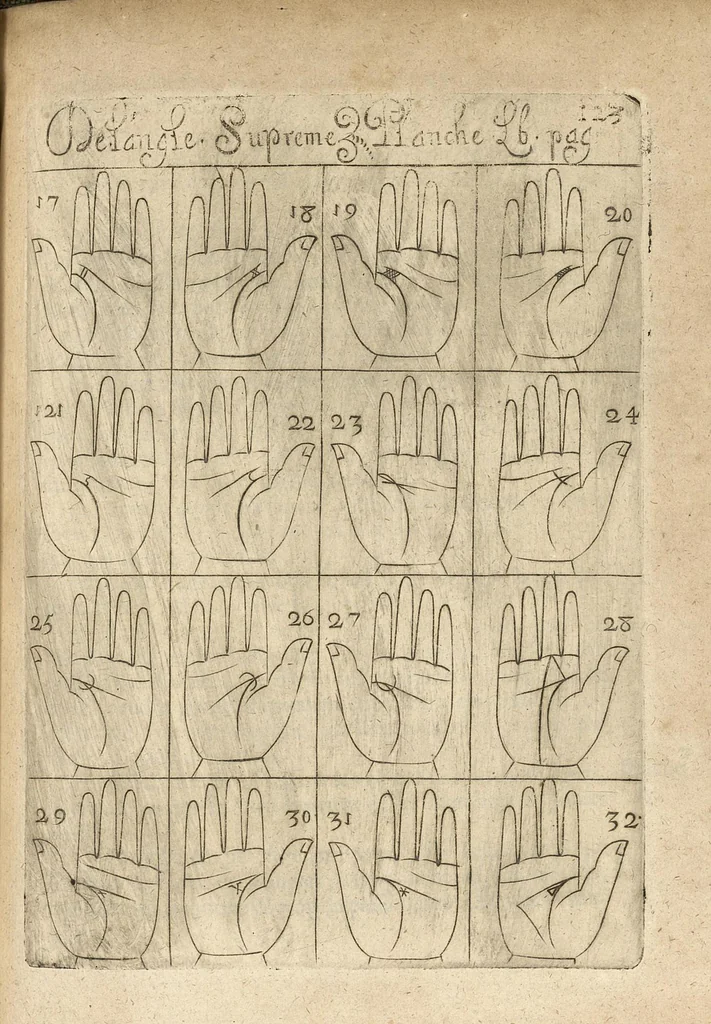 An illustration from La science curieuse ou traité de la chyromance, récueilly des plus graves autheurs qui ont traité de cette matière..., 1665, leaf 242