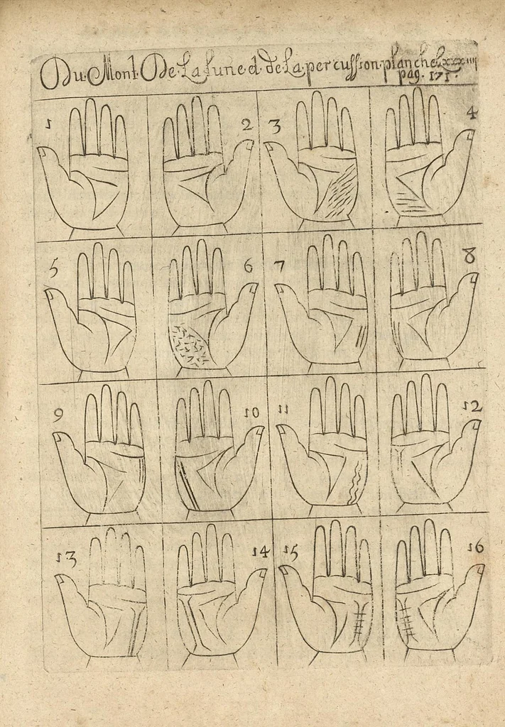 An illustration from La science curieuse ou traité de la chyromance, récueilly des plus graves autheurs qui ont traité de cette matière..., 1665, leaf 334