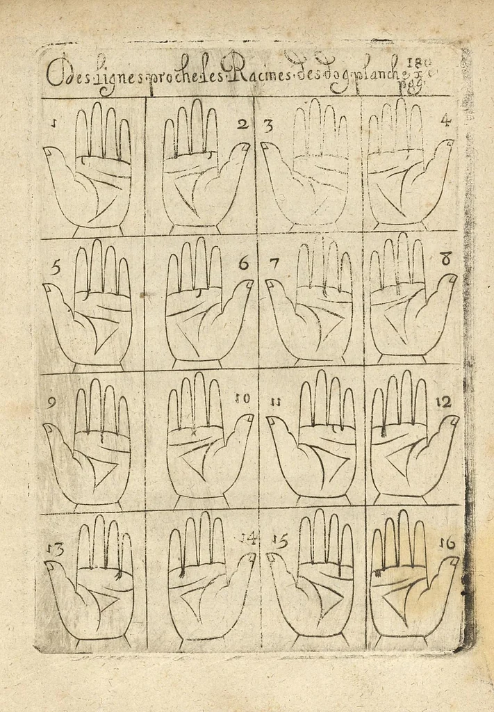 An illustration from La science curieuse ou traité de la chyromance, récueilly des plus graves autheurs qui ont traité de cette matière..., 1665, leaf 346