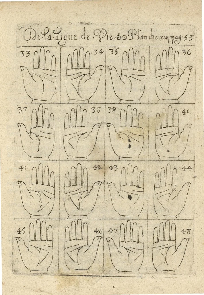 An illustration from La science curieuse ou traité de la chyromance, récueilly des plus graves autheurs qui ont traité de cette matière..., 1665, leaf 88