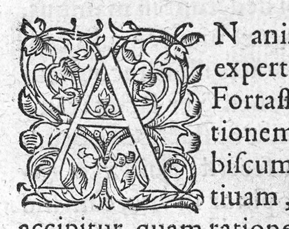 An illustration from Claudii Galeni Pergameni paraphrasis in Menodoti Exhortationem ad liberalium artium studia., 1583, leaf 4