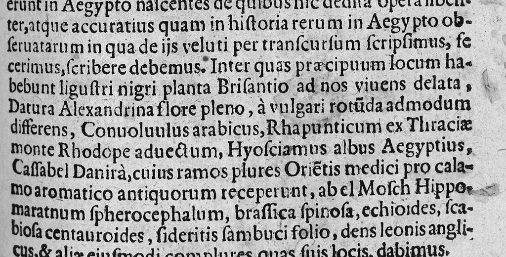 An illustration from De plantis exoticis libri duo, 1627, leaf 192
