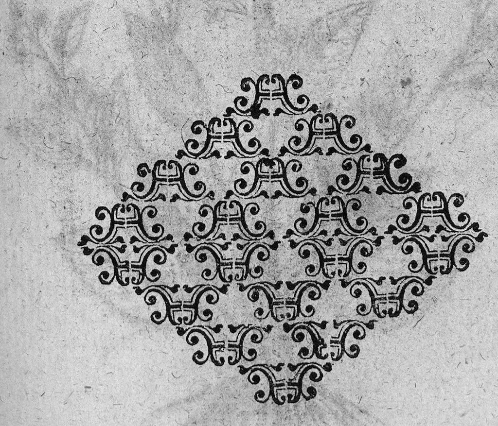 An illustration from De plantis exoticis libri duo, 1627, leaf 224