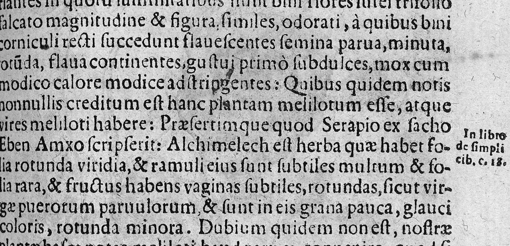 An illustration from De plantis exoticis libri duo, 1627, leaf 288