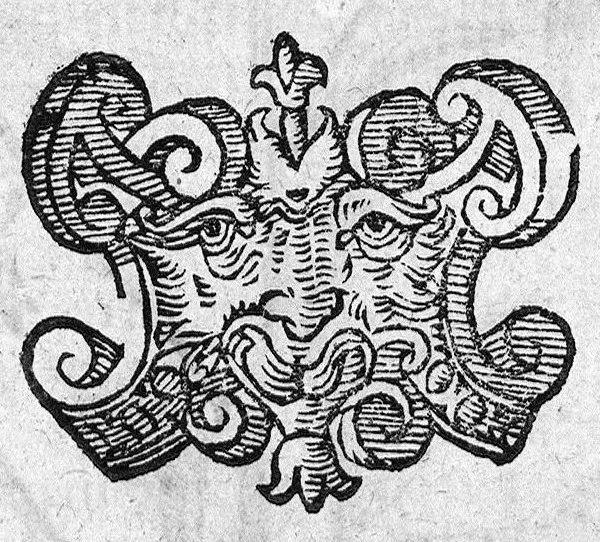 An illustration from De plantis exoticis libri duo, 1627, leaf 354