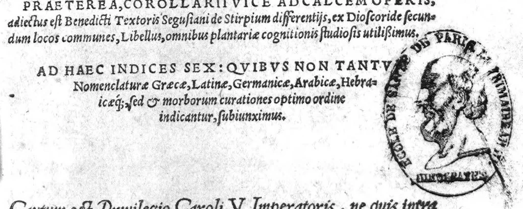An illustration from De stirpium maximearum, quae in Germania notra nascuntur, usitatis nomenclaturis,...interprete Davide Kybero..., 1552, leaf 0