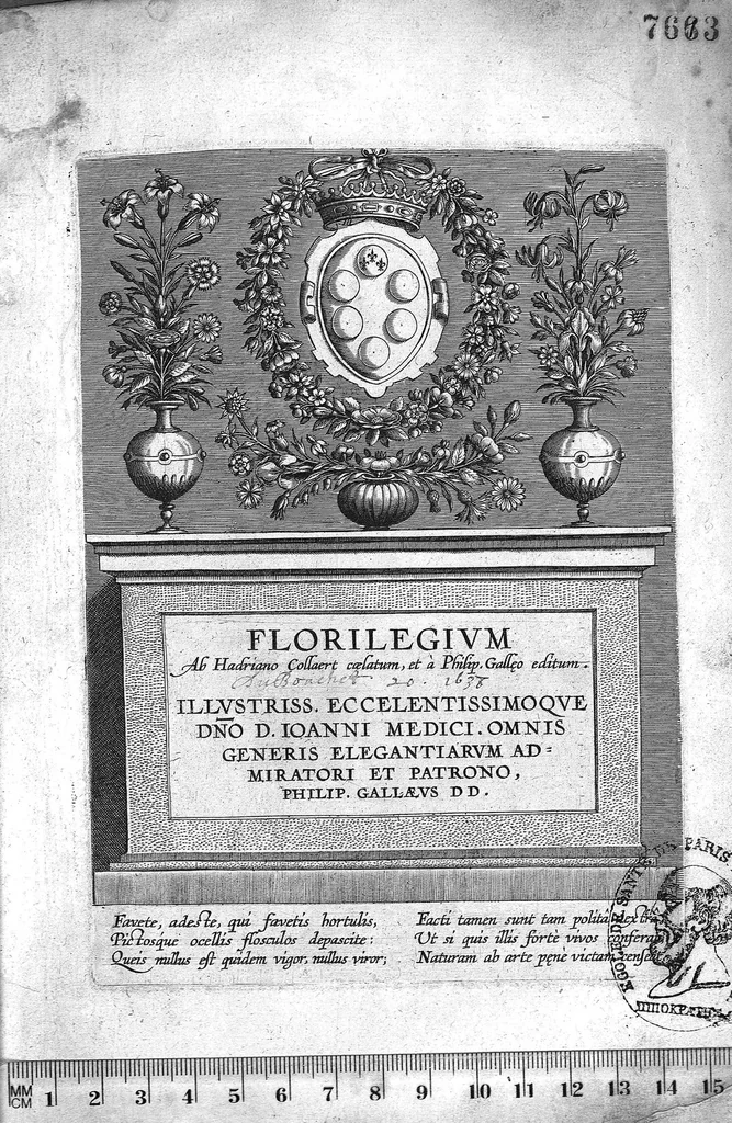 An illustration from Florilegium ab Hadriano Collaert coelatum et a Philip Galleo editum ; illustriss. eccelentissimoque dno D. Ioanni Medici. omnis generis elegantiarum admiratori et patrono, Philip. Gallaeus DD., 1587, leaf 0