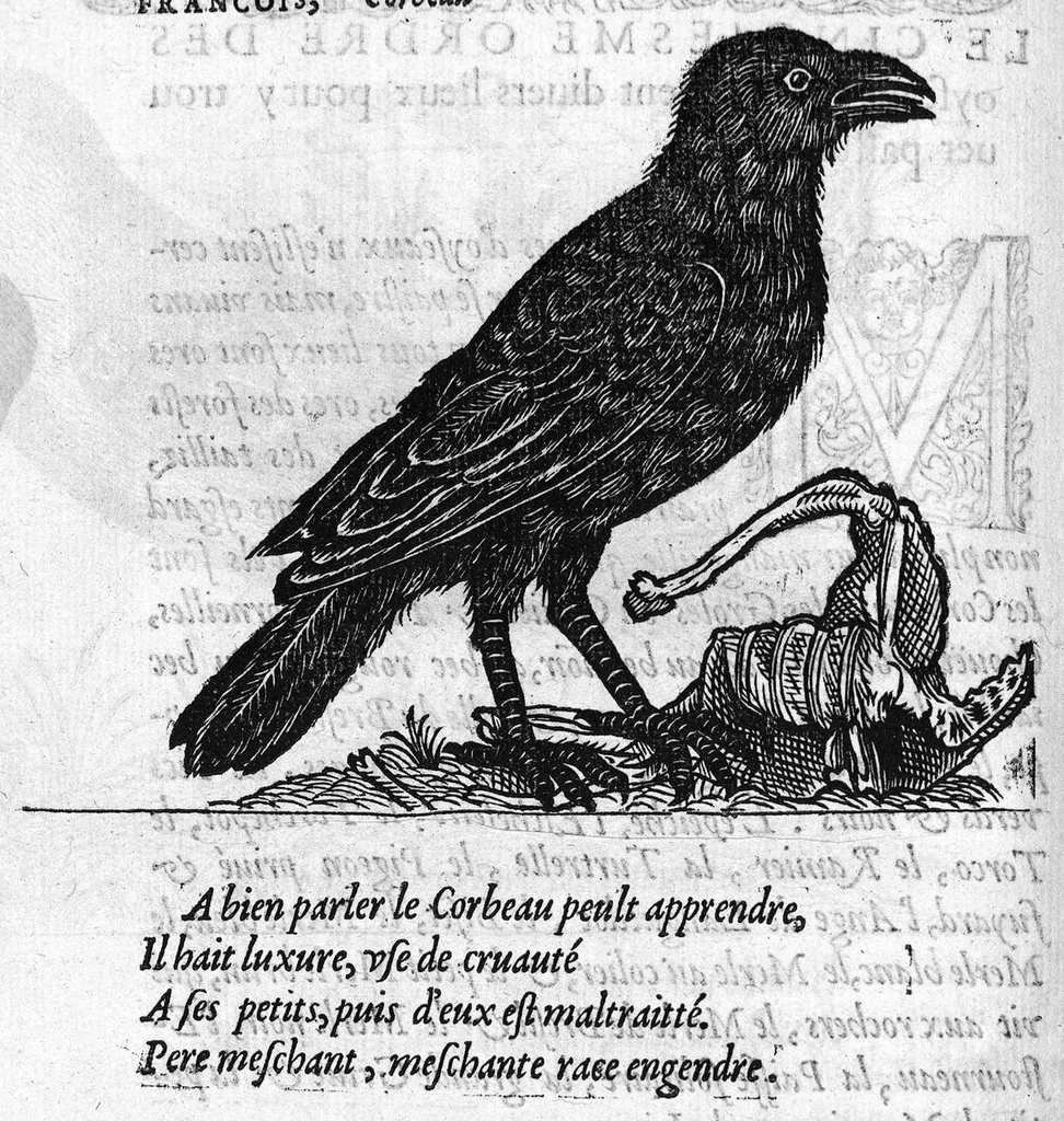 An illustration from Portraicts d'oyseaux, animaux, serpens, herbes, arbres, hommes et femmes d'Arabie & d'Egypte, observez par P. Belon du Mans...est adjoutée une carte du Mont Athos , & du Mont Sinay, 1618, leaf 153