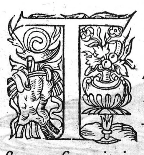 An illustration from Portraicts d'oyseaux, animaux, serpens, herbes, arbres, hommes et femmes d'Arabie & d'Egypte, observez par P. Belon du Mans...est adjoutée une carte du Mont Athos , & du Mont Sinay, 1618, leaf 185