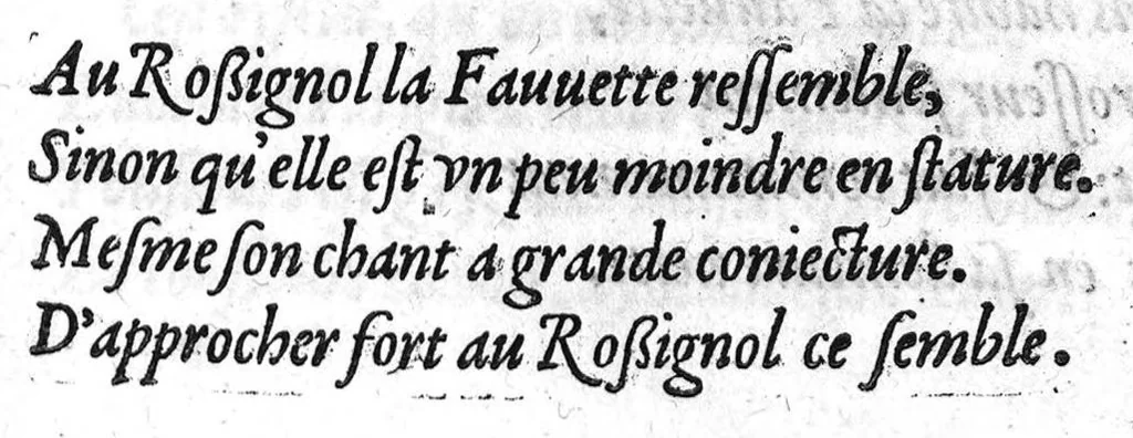 An illustration from Portraicts d'oyseaux, animaux, serpens, herbes, arbres, hommes et femmes d'Arabie & d'Egypte, observez par P. Belon du Mans...est adjoutée une carte du Mont Athos , & du Mont Sinay, 1618, leaf 188