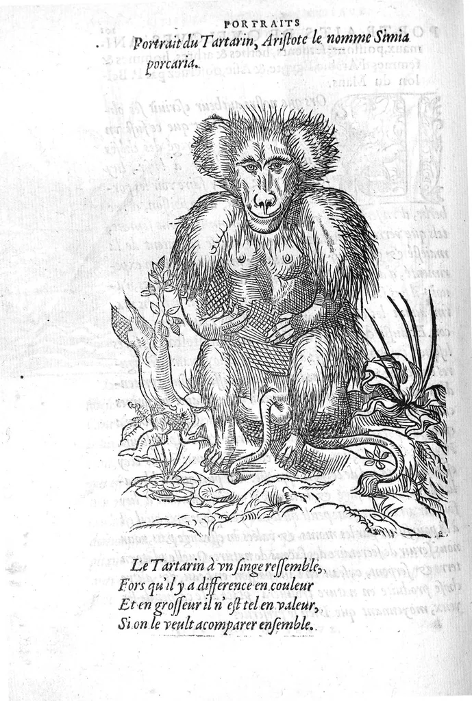 An illustration from Portraicts d'oyseaux, animaux, serpens, herbes, arbres, hommes et femmes d'Arabie & d'Egypte, observez par P. Belon du Mans...est adjoutée une carte du Mont Athos , & du Mont Sinay, 1618, leaf 221