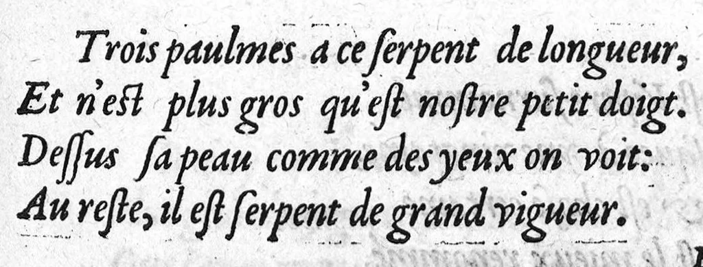 An illustration from Portraicts d'oyseaux, animaux, serpens, herbes, arbres, hommes et femmes d'Arabie & d'Egypte, observez par P. Belon du Mans...est adjoutée une carte du Mont Athos , & du Mont Sinay, 1618, leaf 238