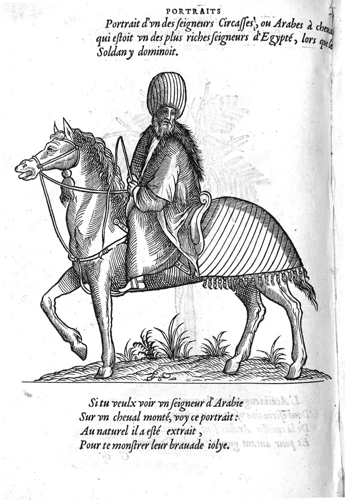 An illustration from Portraicts d'oyseaux, animaux, serpens, herbes, arbres, hommes et femmes d'Arabie & d'Egypte, observez par P. Belon du Mans...est adjoutée une carte du Mont Athos , & du Mont Sinay, 1618, leaf 257