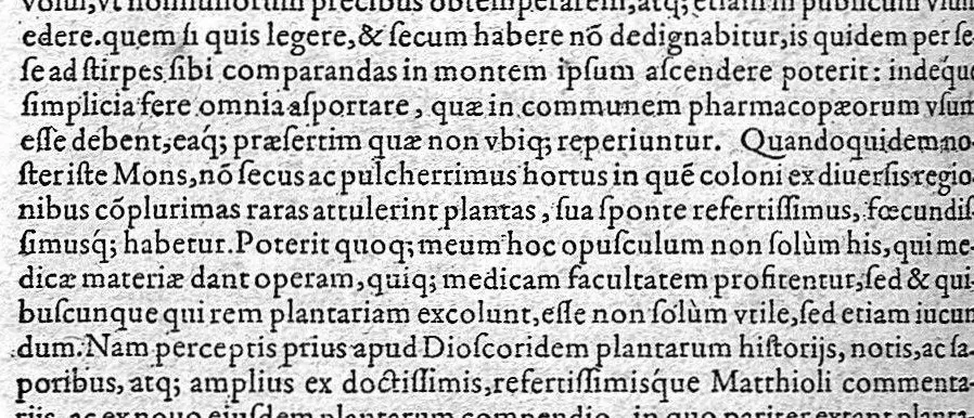 An illustration from Iter Baldi civitatis Veronae pontis, quo mirabili ordine describitur montis ipsus, atque aliarum quarundam ipsum contingentium partium situs, 1586, leaf 15