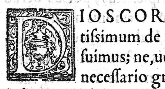 An illustration from Amati Lusitani Medici ac philosophi celeberrimi In Dioscoridis Anazarbei de medica materia libros quique enarrationes eruditissimae, quibus etiam tum simplicium medicamentorum nomenclaturae graecae, latinae, italicae, germanicae, et gallicae proponuntur (...), 1557, leaf 10