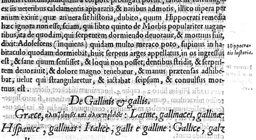 An illustration from Amati Lusitani Medici ac philosophi celeberrimi In Dioscoridis Anazarbei de medica materia libros quique enarrationes eruditissimae, quibus etiam tum simplicium medicamentorum nomenclaturae graecae, latinae, italicae, germanicae, et gallicae proponuntur (...), 1557, leaf 200