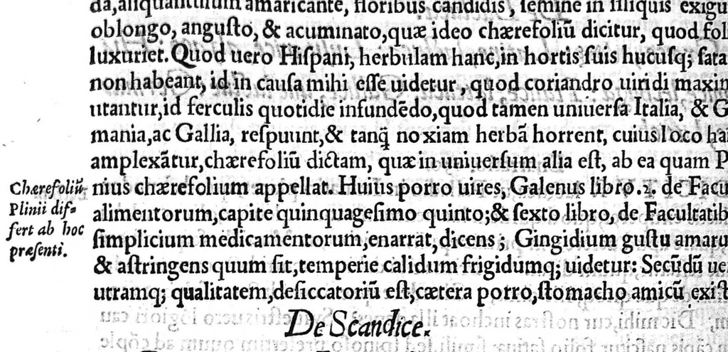 An illustration from Amati Lusitani Medici ac philosophi celeberrimi In Dioscoridis Anazarbei de medica materia libros quique enarrationes eruditissimae, quibus etiam tum simplicium medicamentorum nomenclaturae graecae, latinae, italicae, germanicae, et gallicae proponuntur (...), 1557, leaf 265