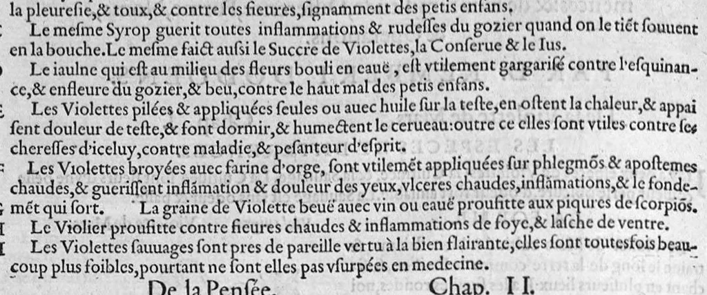 An illustration from Histoire des plantes, en laquelle est contenue la description entiere des herbes, c’est à dire, leurs Especes, Forme, Noms, Temperament, Vertus et Operations : non seulement de celles qui croissent en ce païs, mais aussi des autres estrangeres qui viennent en usage de Medecine. Par Rembert Dodoens Medecin de la Ville de Malines. Nouvellement traduite de bas Aleman en François par Charles de l’Escluse, 1567, leaf 135