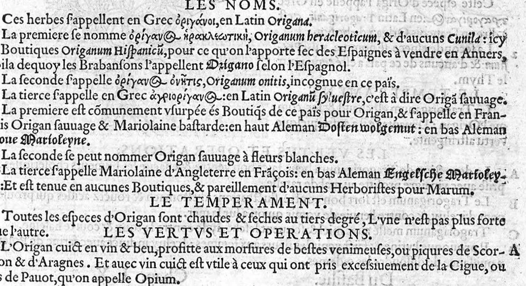 An illustration from Histoire des plantes, en laquelle est contenue la description entiere des herbes, c’est à dire, leurs Especes, Forme, Noms, Temperament, Vertus et Operations : non seulement de celles qui croissent en ce païs, mais aussi des autres estrangeres qui viennent en usage de Medecine. Par Rembert Dodoens Medecin de la Ville de Malines. Nouvellement traduite de bas Aleman en François par Charles de l’Escluse, 1567, leaf 190