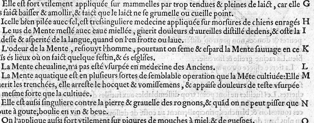 An illustration from Histoire des plantes, en laquelle est contenue la description entiere des herbes, c’est à dire, leurs Especes, Forme, Noms, Temperament, Vertus et Operations : non seulement de celles qui croissent en ce païs, mais aussi des autres estrangeres qui viennent en usage de Medecine. Par Rembert Dodoens Medecin de la Ville de Malines. Nouvellement traduite de bas Aleman en François par Charles de l’Escluse, 1567, leaf 196