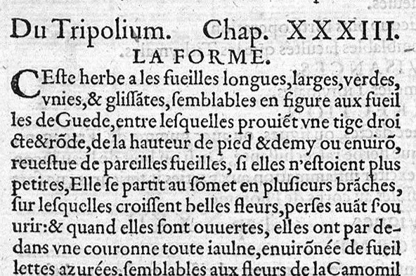 An illustration from Histoire des plantes, en laquelle est contenue la description entiere des herbes, c’est à dire, leurs Especes, Forme, Noms, Temperament, Vertus et Operations : non seulement de celles qui croissent en ce païs, mais aussi des autres estrangeres qui viennent en usage de Medecine. Par Rembert Dodoens Medecin de la Ville de Malines. Nouvellement traduite de bas Aleman en François par Charles de l’Escluse, 1567, leaf 269
