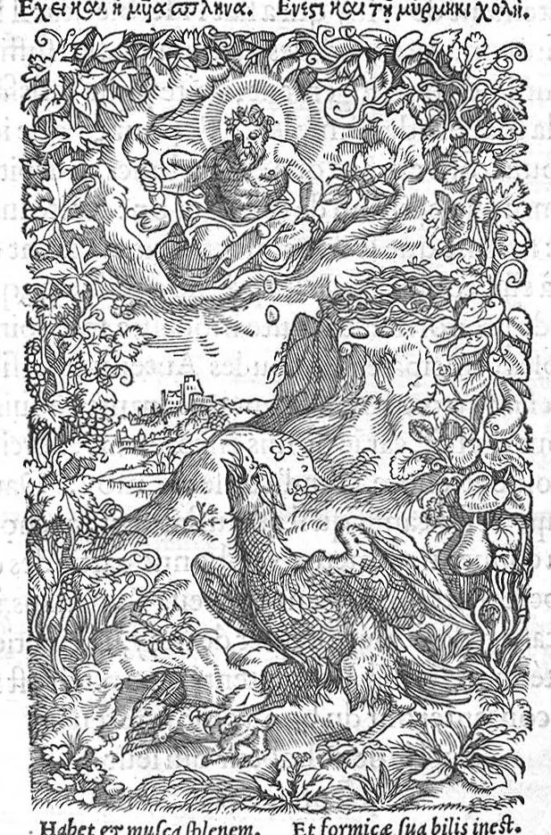 An illustration from Histoire des plantes, en laquelle est contenue la description entiere des herbes, c’est à dire, leurs Especes, Forme, Noms, Temperament, Vertus et Operations : non seulement de celles qui croissent en ce païs, mais aussi des autres estrangeres qui viennent en usage de Medecine. Par Rembert Dodoens Medecin de la Ville de Malines. Nouvellement traduite de bas Aleman en François par Charles de l’Escluse, 1567, leaf 572