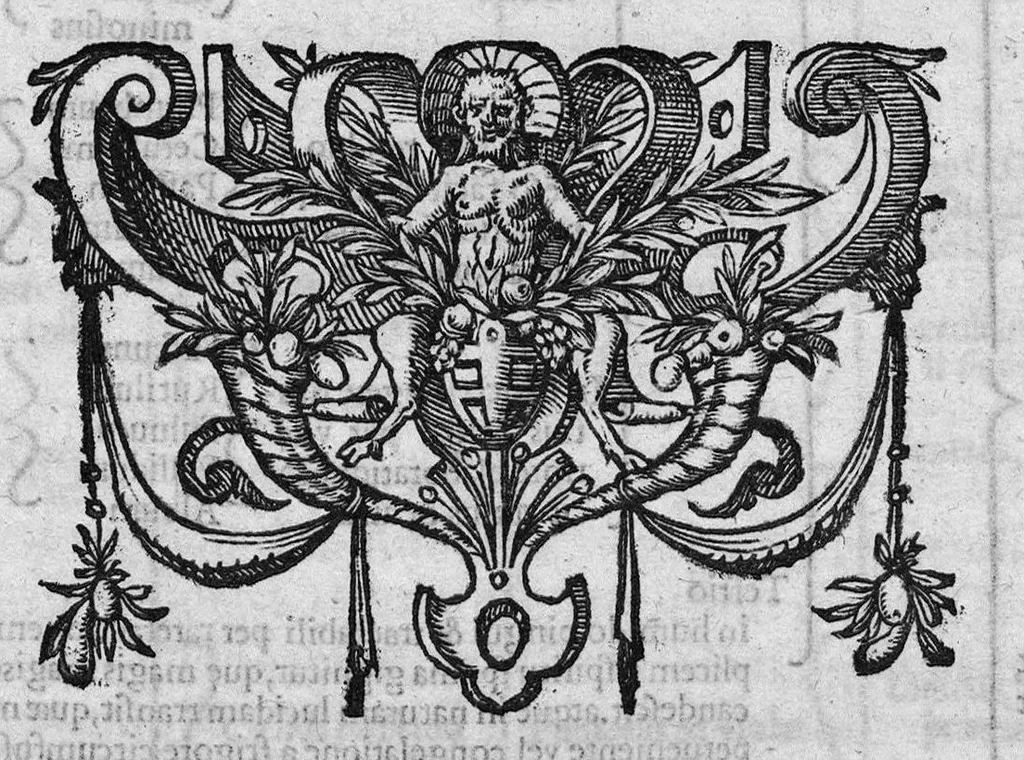 An illustration from Cornelii Gemmae Lovaniensis medicinae professoris, De arte cyclognomica, tomi III. Doctrinam ordinum uniuersam, unaque philosophiam Hippocratis, Platonis, Galeni & Aristotelis in unius communissmae, ac circularis methodi speciem referentes, quae per animorum triplices orbes ad sphaerae caelestis similitudinem fabricatos, non medicinae tantùm arcana pandit mysteria, sed & inveniendis, constituendisq́ue artibus, ac scientiis caerteris viam compendiariam patefacit, 1569, leaf 158