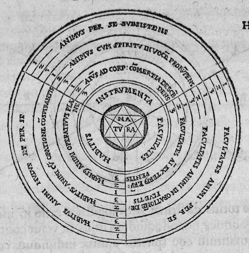 An illustration from Cornelii Gemmae Lovaniensis medicinae professoris, De arte cyclognomica, tomi III. Doctrinam ordinum uniuersam, unaque philosophiam Hippocratis, Platonis, Galeni & Aristotelis in unius communissmae, ac circularis methodi speciem referentes, quae per animorum triplices orbes ad sphaerae caelestis similitudinem fabricatos, non medicinae tantùm arcana pandit mysteria, sed & inveniendis, constituendisq́ue artibus, ac scientiis caerteris viam compendiariam patefacit, 1569, leaf 310