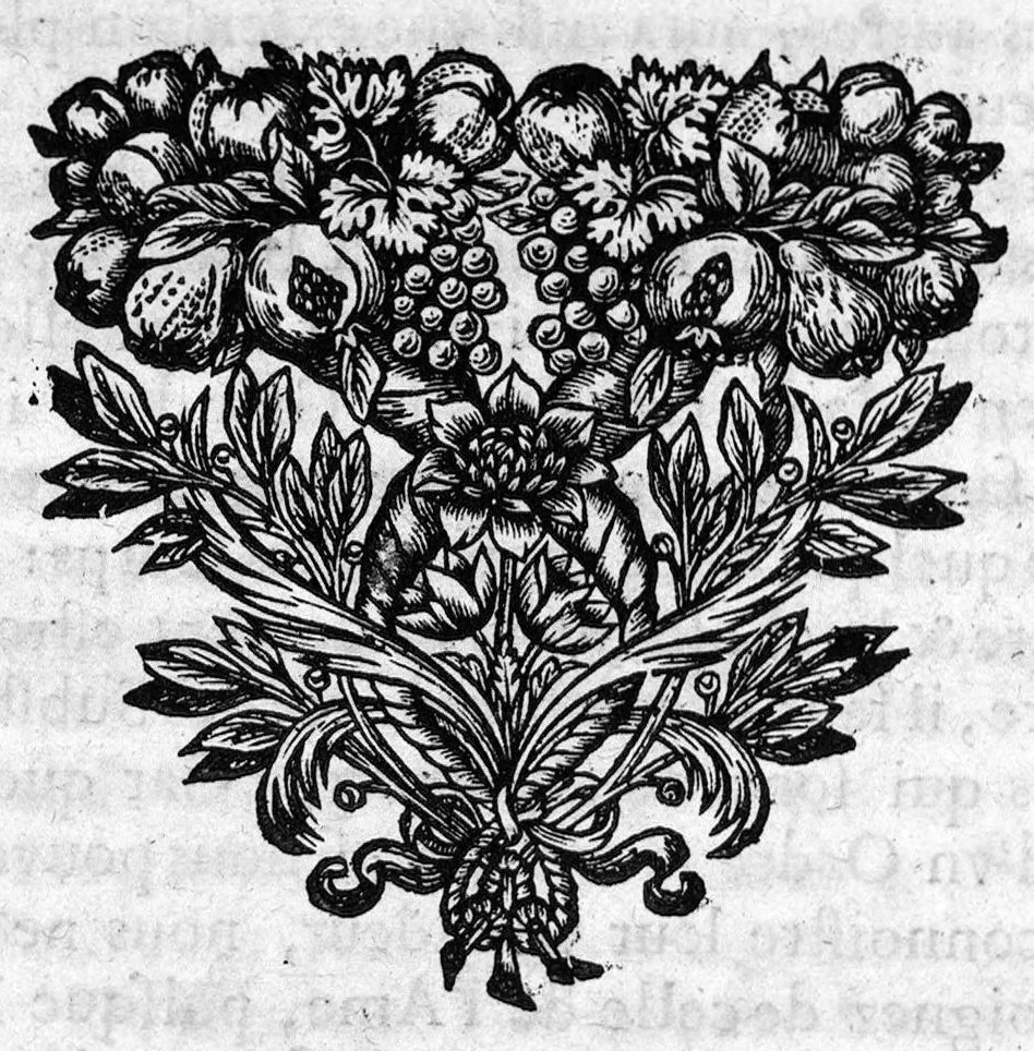 An illustration from L'art de connoistre les hommes. Partie troisième, qui contient la deffense de l'extension et des parties libres de l'âme, 1666, leaf 55