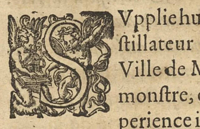 An illustration from Amphithéâtre d'honneur dressé par la France, a la memoire du seigneur Joseph Balsamo...en faveur du secret merveilleux par luy inventé, & de ses rares et singulieres proprietez contre diverses maladies & infirmités du corps humain divisé en quatre livres..., 1638, leaf 156