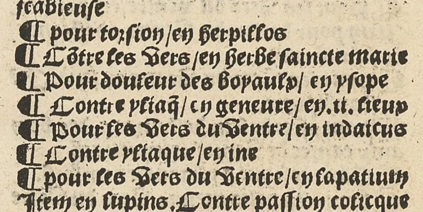 An illustration from Le Grant herbier en françois., 1500, leaf 230