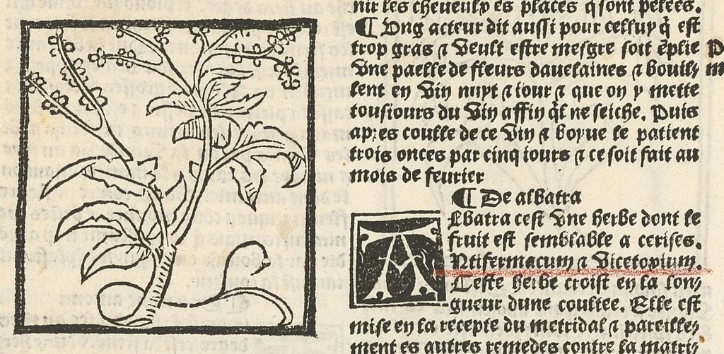 An illustration from Le Grant herbier en françois., 1500, leaf 27