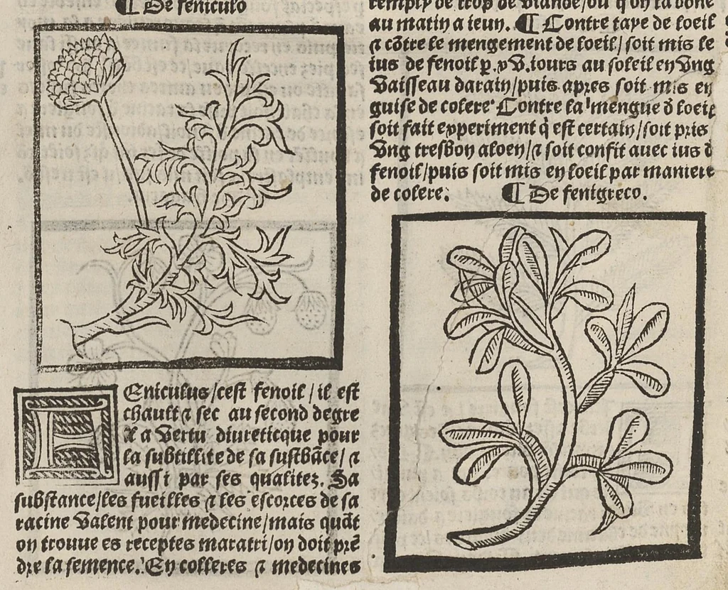 An illustration from Le Grant herbier en françois., 1500, leaf 94