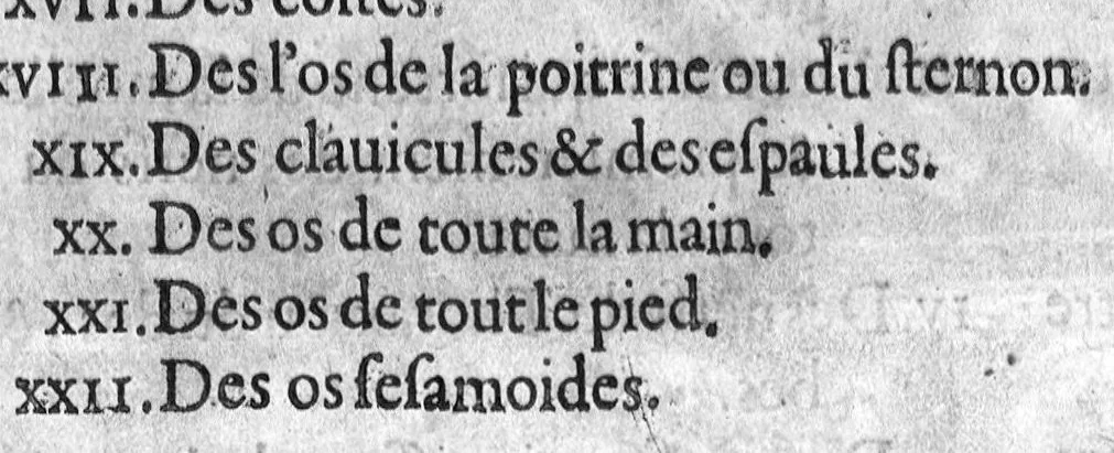 An illustration from Institutions anatomiques de Gaspar Bartholin, augmentées et enrichies pour la seconde fois tant des opinions et observations nouvelles des modernes... que de plusieurs figures... par Thomas Bartholin,... et traduictes en françois par Abr. Du Prat, 1647, leaf 18