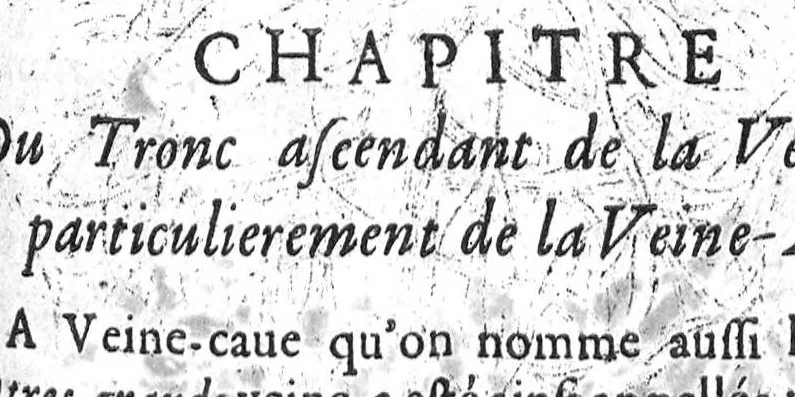 An illustration from Institutions anatomiques de Gaspar Bartholin, augmentées et enrichies pour la seconde fois tant des opinions et observations nouvelles des modernes... que de plusieurs figures... par Thomas Bartholin,... et traduictes en françois par Abr. Du Prat, 1647, leaf 461