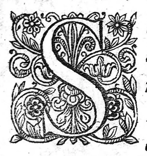 An illustration from D. Stephani Roderici Castrensis,... Syntaxis praedictionum medicarum... Accessit triplex ejusdem authoris elucubratio I. de chirurgicis administrationibus ; II. de potu refrigerato ; III. de animalibus microcosmi. (Edente Francisco Castrense.), 1661, leaf 2