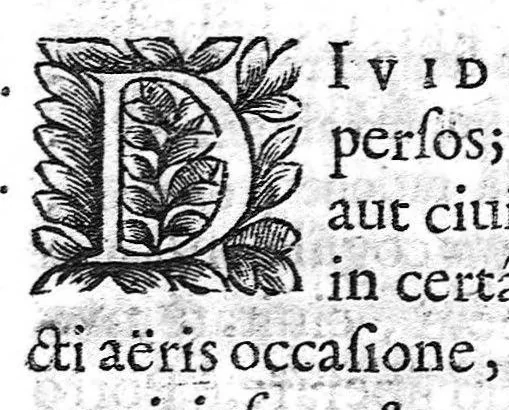 An illustration from D. Stephani Roderici Castrensis,... Syntaxis praedictionum medicarum... Accessit triplex ejusdem authoris elucubratio I. de chirurgicis administrationibus ; II. de potu refrigerato ; III. de animalibus microcosmi. (Edente Francisco Castrense.), 1661, leaf 61