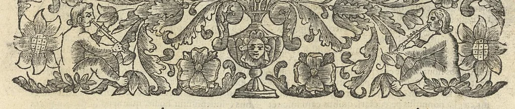 An illustration from De rara medicatione vulnerum,...libri duo..., 1676, leaf 12